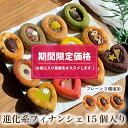 【期間限定価格】 ティグレ15種類詰め合わせセット 敬老の日 ギフト お菓子 のし無料 お返し フィナンシェ 焼き菓子 プレゼント 誕生日 お菓子 おしゃれ かわいい 高級 スイーツ 洋菓子 手土産 贈り物 出産 結婚 ご挨拶 内祝い 個包装 お祝い