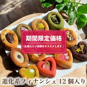 【期間限定価格】 ティグレ全12種類詰め合わせセット 敬老の日 ギフト お菓子 お返し フィナンシェ 焼き菓子 プレゼント お礼 誕生日 お菓子 おしゃれ かわいい 高級 スイーツ 洋菓子 手土産 贈り物 出産 結婚 内祝い ギフト 個包装 お祝い