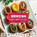 【期間限定価格】 ティグレ9種類詰め合わせセット 敬老の日 ギフト お菓子 のし無料 いちご ピスタチオ 抹茶 コーヒー 焼き菓子 プレゼント お礼 誕生日 おしゃれ かわいい フィナンシェ 高級 スイーツ 洋菓子 出産 結婚 内祝い 個包装 お祝い