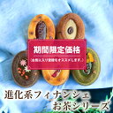 【期間限定価格】 ティグレ お茶シリーズ 5種10個入 ( プレーン / コーヒー / 抹茶 / ほうじ茶 / ミルクティー / 2個ずつ )敬老の日 ギフト お菓子 フィナンシェ お返し 焼き菓子 オシャレ かわいい 高級 スイーツ 出産 結婚 内祝い 個包装