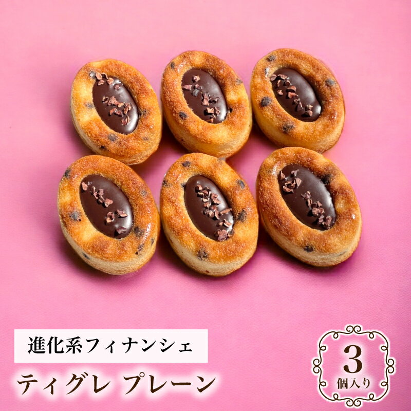 ティグレ プレーン 3個入 ギフト スイーツ かわいい 焼き菓子 フィナンシェ ティグレ チョコレート プレゼント お礼 誕生日 おしゃれ 洋菓子 手土産 贈り...