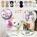 母の日 黒猫 ミケ スコティシュフォールド アメリカンショートヘア ラグドール ハチワレ プレゼント 花束 バルーン電報 ネコ カーネーション ブーケ ラヴィア...