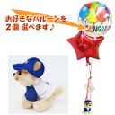 キャップをかぶった犬のぬいぐるみがバルーンを運びます - 「BOOブルーキャップ(GUND ガンド)」のぬいぐるが運ぶ♪2バルーンセット【補充用ヘリウムガス付・...