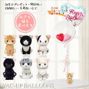 誕生日 プレゼント 結婚式 バルーン電報 出産祝い 入学祝い 卒業祝い 合格祝い 祝電 贈り物 入園祝い 卒園祝い 発表会 猫ぬいぐるみ アメリカンショートヘア...