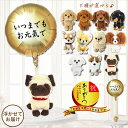 バルーン 風船 敬老 還暦 古希 喜寿 傘寿 米寿 卒寿 白寿 おばあちゃん おじいちゃん プレゼント 犬 ぬいぐるみ チワワ トイプードル ダックス ポメラニアン 柴犬 コーギー LGお元気でサテンゴールド&選べる PUPSパプス犬のぬいぐるみが運ぶ♪ワンバルーンセット