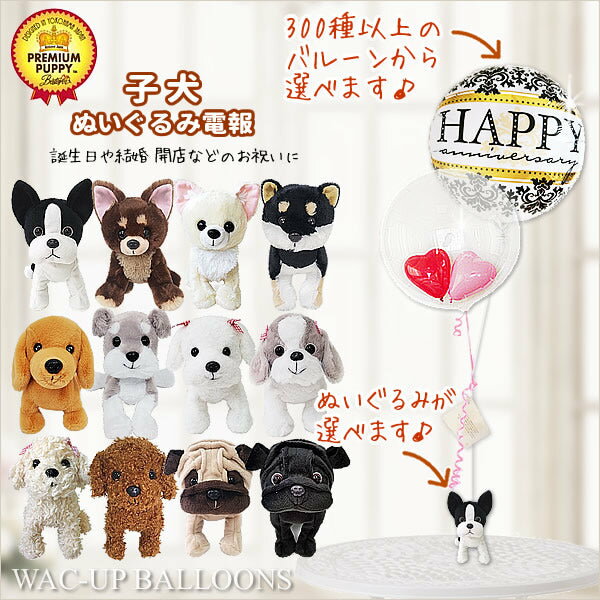 誕生日 開店祝い 電報 トイプードル ダックス パグ シーズー チワワ シュナウザー 柴犬 結婚式 バルーン電報 誕生日プレゼント 出産祝い 入学祝い 卒業祝い...