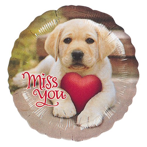 選択用18インチバルーン: OTミスユーパピー★(45cm)※セット商品の選択用のため、システム上1円となっておりますが、実際には1円では買えません。選択用1円...