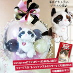 ブサカワネコ タルダル・ソース Grumpy Cat 結婚式 誕生日 記念日 合格祝い 出産祝い 動物 プレゼント 贈り物 バルーン電報 ギフト ブサかわ 猫 ぬいぐるみト ぬいぐるみバルーンラッピング：ブサカワ猫グランピーキャット