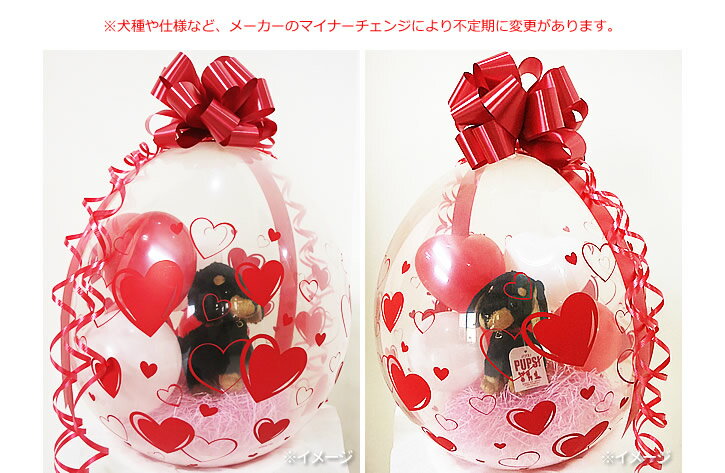 犬 結婚式 バルーン電報 誕生日 プレゼント チワワ ミニチュアダックス トイプードル ポメラニアン ゴールデンレトリバー 柴犬 ぬいぐるみバルーンラッピング（赤ハート）選べる子犬PUPSパプス