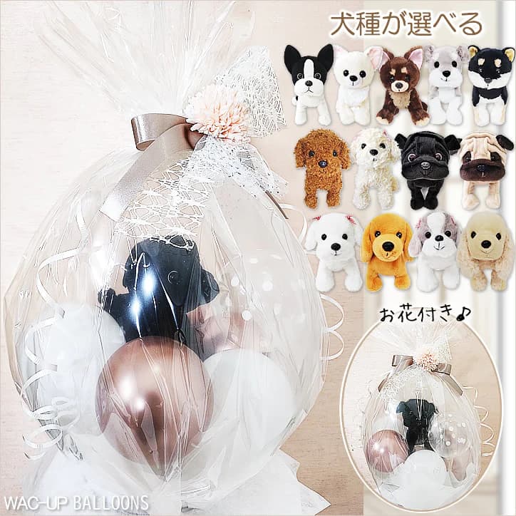 犬 プレゼント 犬好き お祝い 贈り物 ギフト誕生日 プレゼント 結婚式 お祝い 敬老の日 ボストンテリア チワワ ダックス マルチーズ 柴犬 シュナウザー シーズー パグ トイプードル ぬいぐるみバルーンラッピング 選べるプレミアムパピー犬＜花レースピンクくすみ＞のサムネイル