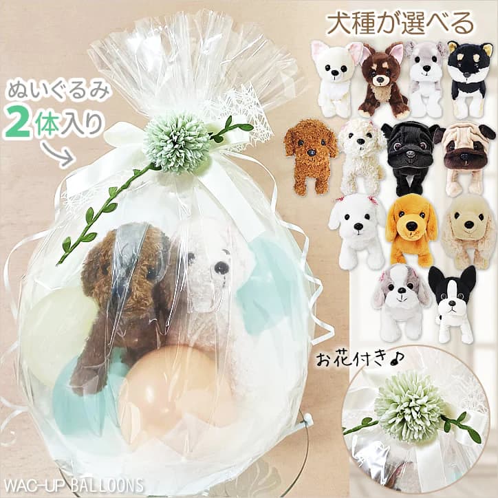 結婚式 電報 お祝い 祝電 犬 プレゼント 犬好き 贈り物 ギフト バルーン電報 ぬいぐるみ電報 ボストンテリア チワワ ダックス マルチーズ 柴犬 シュナウザー シーズー パグ トイプードル ぬいぐるみバルーンラッピング 選べるプレミアムパピー犬2体入り＜花レース緑＞のサムネイル