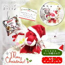 クリスマス プレゼント サンタクロース サンタさん らいおんハート ライオン ぬいぐるみ SMAP スマップ 真っ赤 お祝い プレゼント ギフト 贈り物 祝電 還暦祝 結婚式 誕生日 バルーン電報 お手頃 小さめ 電報 ミニバルーン星型キャンディ&サンタ帽子付赤いらいおんハート
