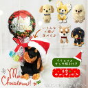 クリスマス チワワ トイプードル ダックス ポメラニアン レトリバー 柴犬 プレゼント ブーケ クリスマスリース ミニバルーン星型キャンディ付サンタ帽子付ぬいぐ...