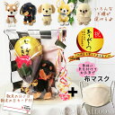 敬老の日 プレゼント ブーケ チワワ トイプードル ダックス ポメラニアン レトリバー 柴犬 お元気でバルーン&赤バラソープフラワー&ぬいぐるみPUPS&布マスクセット
