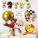 敬老の日 プレゼント ブーケ チワワ トイプードル ダックス ポメラニアン レトリバー 柴犬 いつまでもお元気でミニバルーン&花束付子犬のぬいぐるみ PUPSパ...