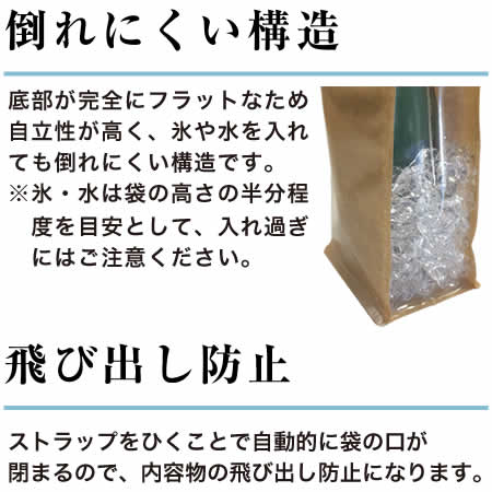 アイスクーラーバッグ説明3