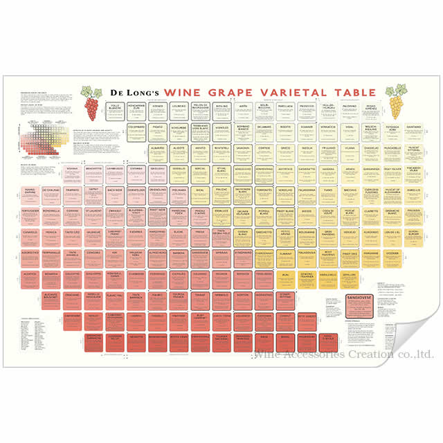 DE LONG ブドウ品種チャート［ Wine Grape Varietal Table ］ UH103MP ラッピング不可