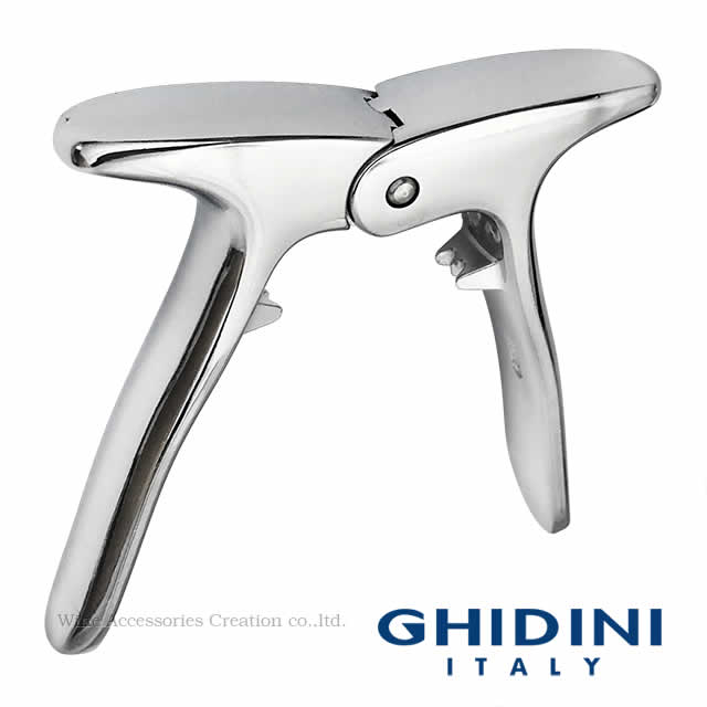 GHIDINI �����ѥ󥭡� 1��