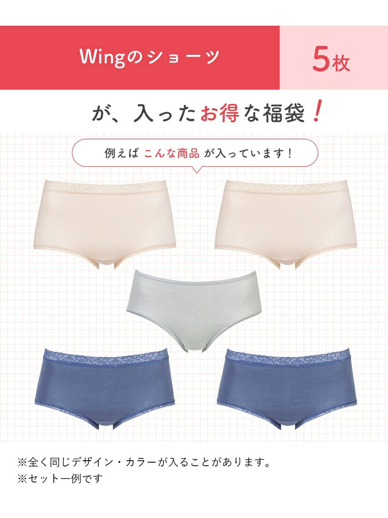 サンプル画像2