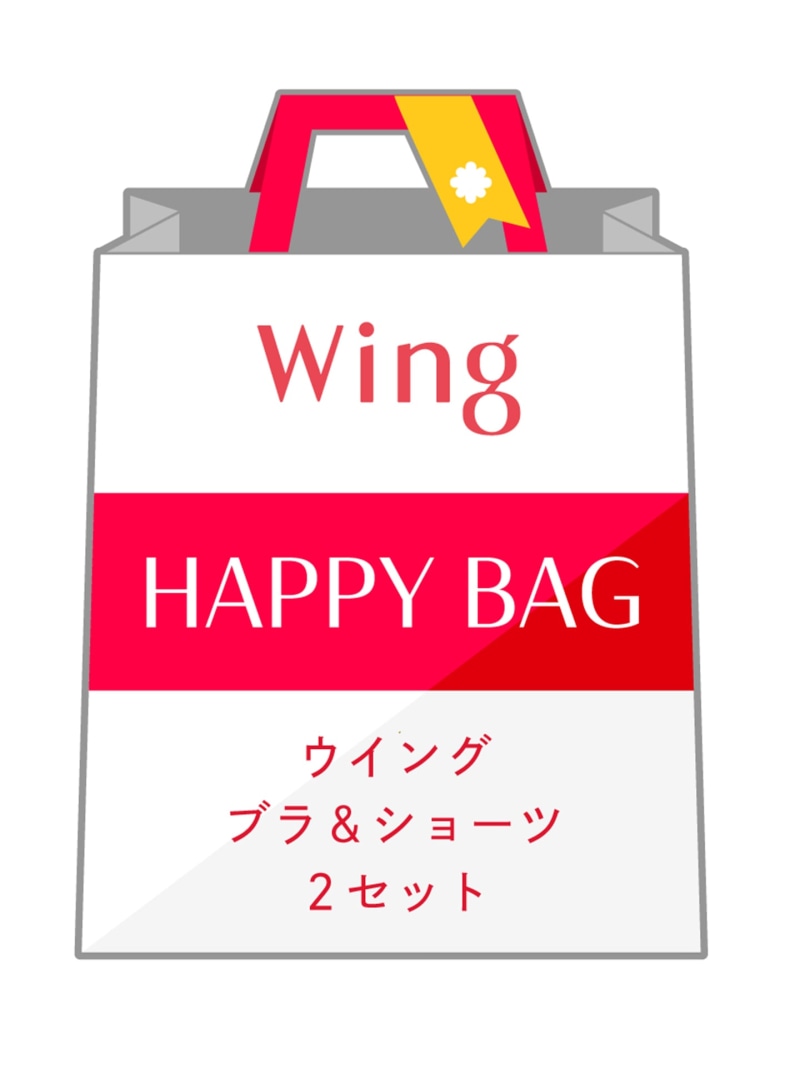 【福袋】 ウイング ブラショーツ 2セット Wing ウイン