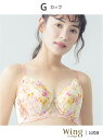 【SALE/30%OFF】ウイング 【2900シリーズ】 ブラジャー 小さく見せるブラ 脇すっきり Wing Lesiage ウイング インナー・ルームウェア ...