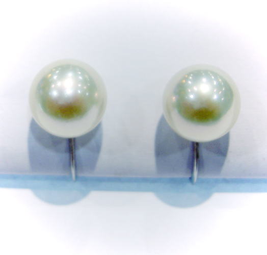 樂天商城 - ホワイトゴールド パール8.5mm　イヤリング