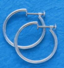 P900 プラチナ イヤリング 標準的なパイプ輪 2mm×35mm（フープ ネジ式）er-Pt900-2x35