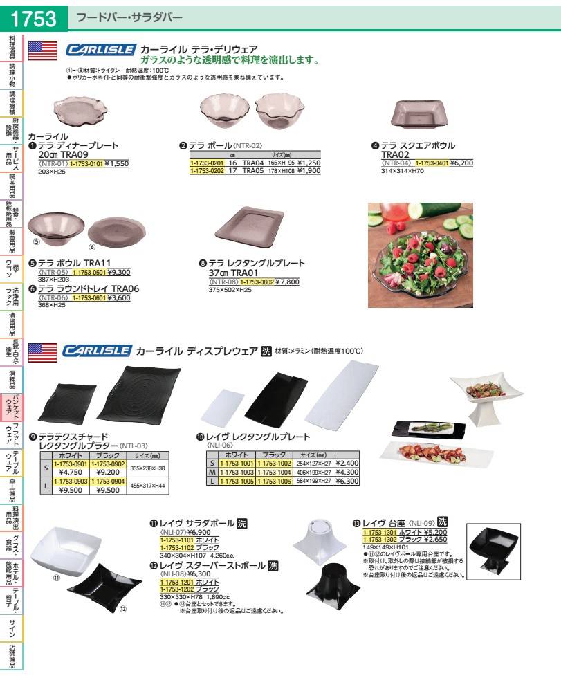 Western Tableware - カーライル　テラボウル TRA11 NTR0501