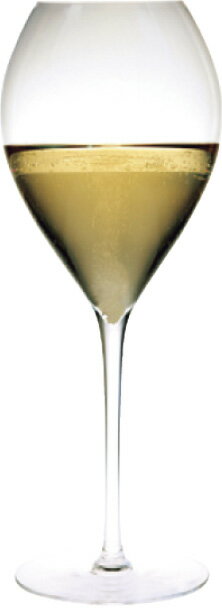 フィリップジャメス グラン・シャンパーニュ 450(6ケ入)　レーマン　10102 SWGO0901