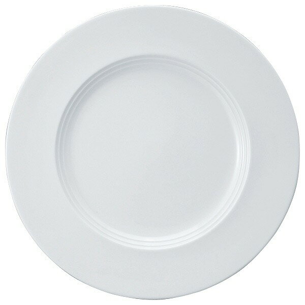 Other Dishes - NARUMI ナルミ プロスタイル パティア PATIA ホワイトステッププレート 27cm 40982-5708 大皿