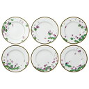 Noritake ノリタケ SUMIRE（VIOLET） すみれ 27cmディナー皿揃（絵変り6枚）N59820/T773-16 T773-16/N59820 大皿