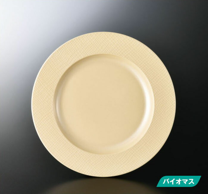 樂天商城 - シャンパンゴールド 21cm プレート M-34CPG スリーラインメラミンウェア2026