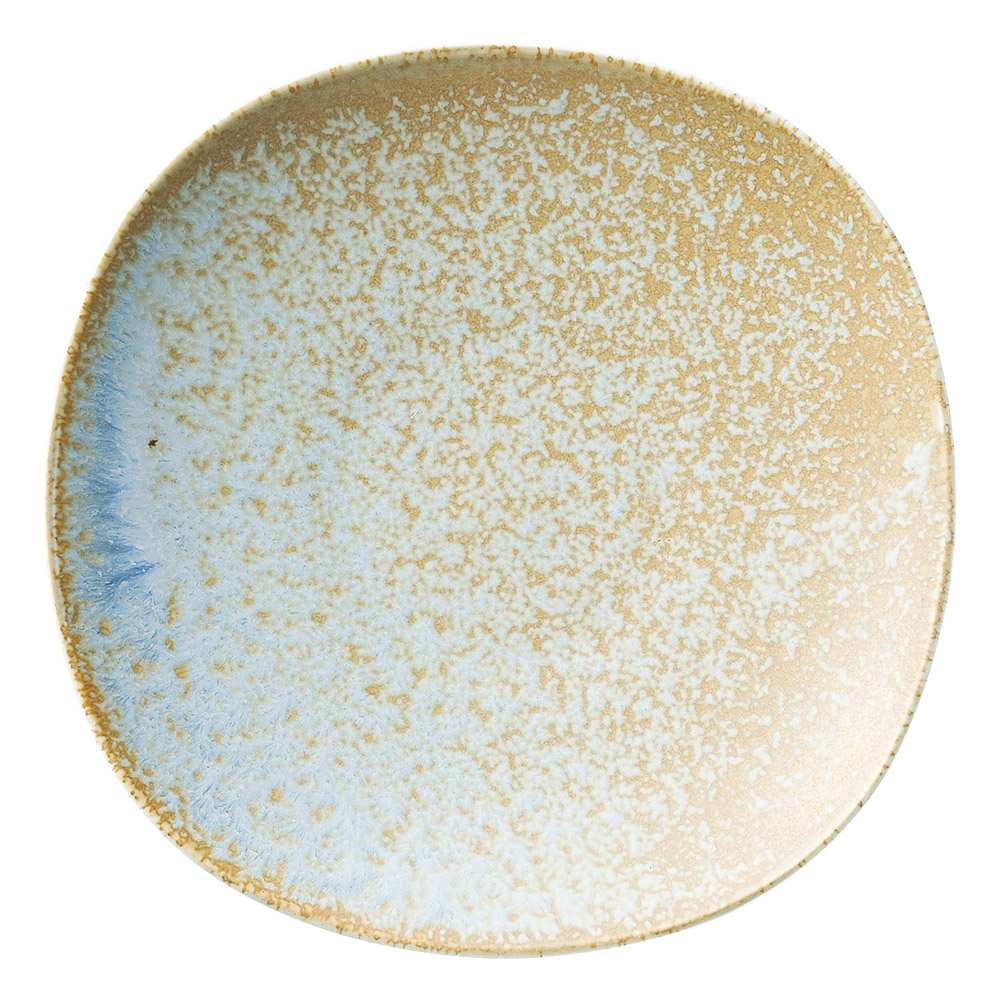 19.6×19.6×3.2cm 磁器