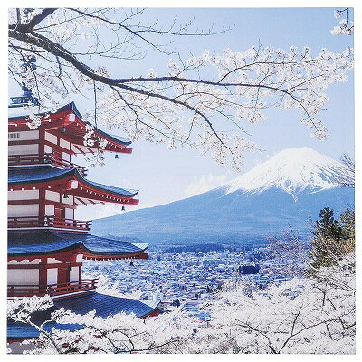 A 尺0.5寸角雅懐石盆 桜と富士山裏白塗 1101647 和美作日 Volol.3