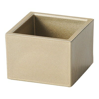 A 5勺マス シャンパンゴールド 1201883 和美作日 Volol.3