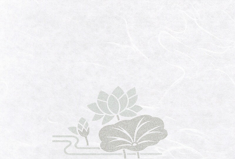 尺3風雅懐石まっと　はす(50枚入) 64718 YOUBI 用美 Vol.21