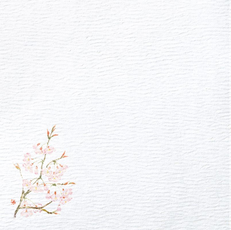 5寸グルメ敷紙 桜 (100枚入) 64750 YOUBI 用美 Vol.21