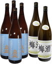 ≪送料無料≫立山 本醸造≪1800ml×4本≫立山 梅酒≪1800ml×2本≫セット・