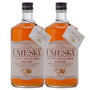 若鶴酒造 若鶴 ウメスキー 若鶴 UMESKY（ウメスキー）720ml2本セット（30）・