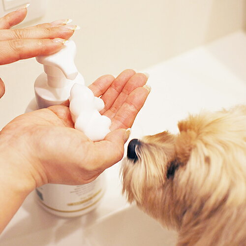 WAFONA［犬・猫兼用］自然派シャンプー 泡タイプ 500ml 2本セット | 犬用 猫用 保...