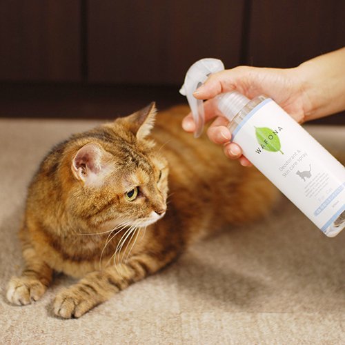 WAFONA［猫用］オールインワンスプレー 業務用ボトル 4000ml | 猫 猫用品 全身ケア 保湿 除菌 消臭 安全 安心 目ヤニ 耳元 トイレ デリケートゾーン スキンケア 洗浄 天然成分 植物成分 化学合成物質不使用