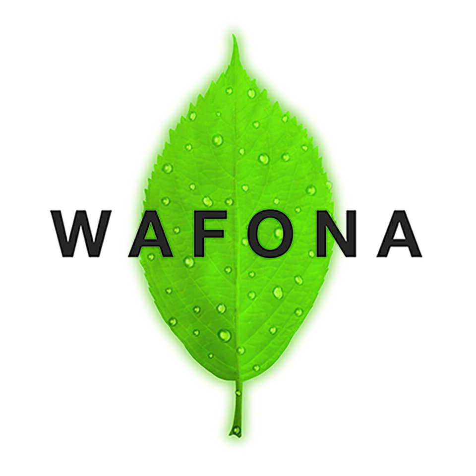 Shop icon