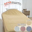 ロマンス小杉 岩盤浴ニューマイヤー毛布 140×200cm 寝具 毛布 日本製 【送料無料】