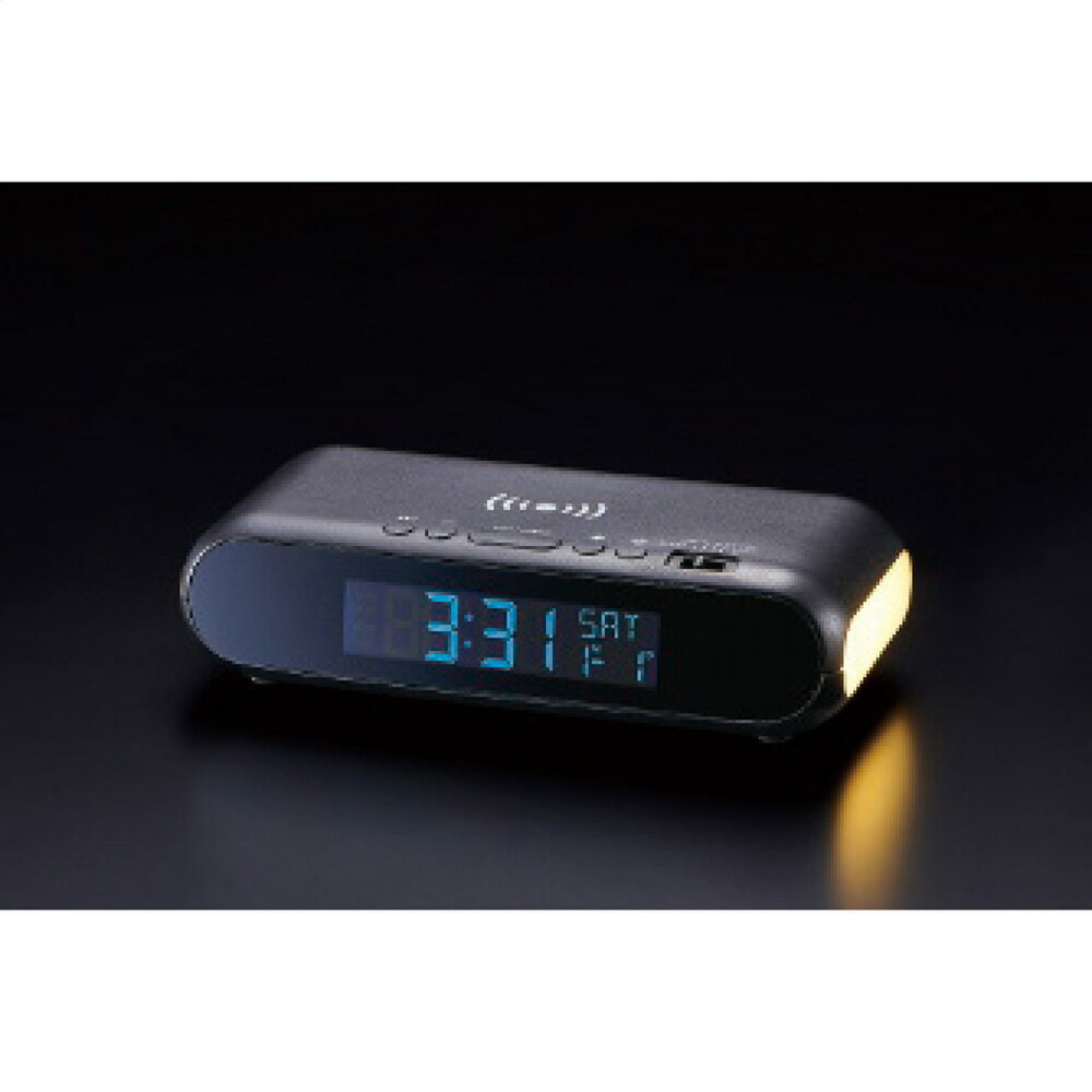 パナソニック PANASONIC アルカリ乾電池 単3 100本入 LR6XJN/100S