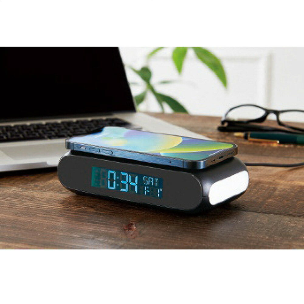 パナソニック PANASONIC アルカリ乾電池 単3 100本入 LR6XJN/100S