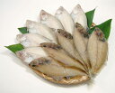 【送料無料】島根県特産品 海産物 水かれい一夜干し《お取り寄せグルメ》 - わが街とくさん店