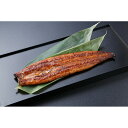 うなぎ問屋の大五蒲焼 (長焼2尾)肝吸付き 【送料無料】 / お取り寄せ 通販 お土産 お祝い おすすめ /
