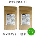 【パンダグッズ対象商品】佐賀県産 ニンニクまるごと粉末60g 2袋セット【送料無料】【お届け日時指定不可】【ネコポスでお届け】 / にんにく 佐賀県産 粉末 お取り寄せ 通販 お土産 ギフト 母の日 おすすめ /