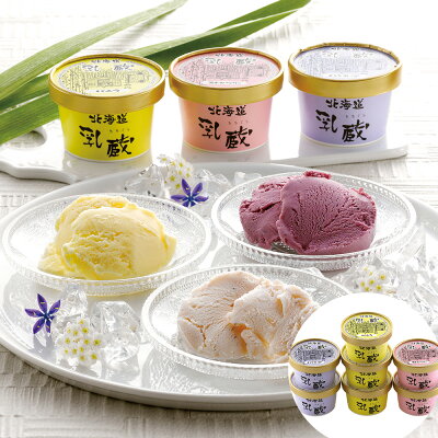 「乳蔵」北海道アイスセット RB-422 【送料無料】 / 詰め合わせ あいす アイスクリーム バニラ ハスカップ ストロベリー 詰め合わせ スイーツ 洋菓子 お菓子 お取り寄せ 通販 お土産 お祝い プレゼント ギフト おすすめ /