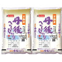 京都 丹後産こしひかり 5kg×2 【送料無料】 / お米 お取り寄せ 通販 お土産 お祝い プレゼント ギフト おすすめ /